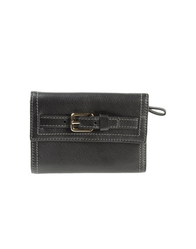 ZOOM COCCINELLE - Wallet