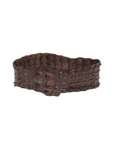 ZOOM PLEIN SUD - Belt