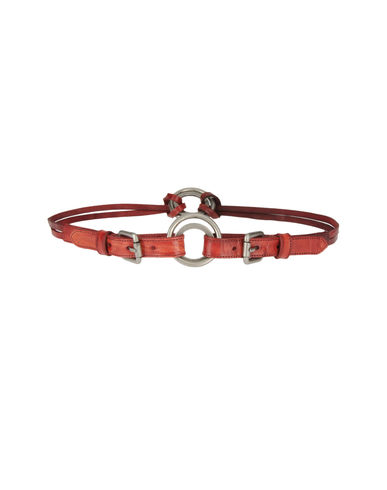 ZOOM PLEIN SUD - Belt
