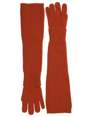 ZOOM CACHAREL - Gloves