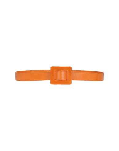 ZOOM AU JOUR LE JOUR - Belt