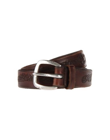 ZOOM ORCIANI - Belt