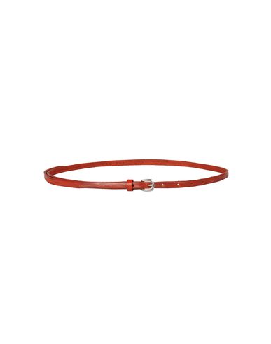 ZOOM ORCIANI - Belt