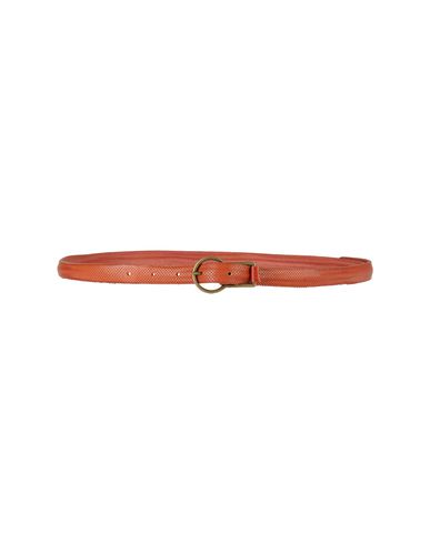 ZOOM HTC - Belt