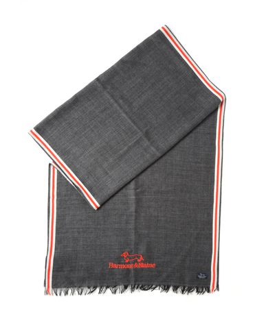 ZOOM HARMONT&BLAINE - Oblong scarf