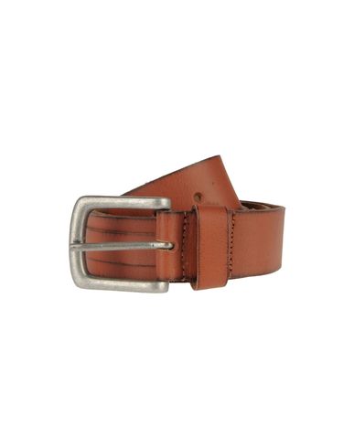 ZOOM ENERGIE - Belt