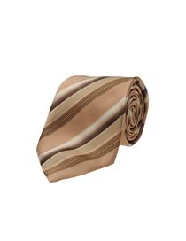 ARMANI COLLEZIONI - Tie