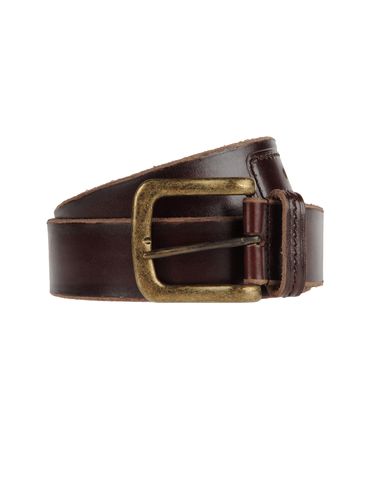 ZOOM D&G - Belt