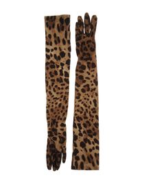 DOLCE & GABBANA - Gloves