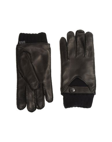 ZOOM D&G - Gloves