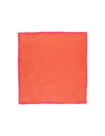 VANESSA BRUNO ATHE' - Square scarf