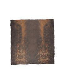 ROBERTO CAVALLI - Square scarf