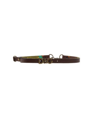 ZOOM D&G - Belt