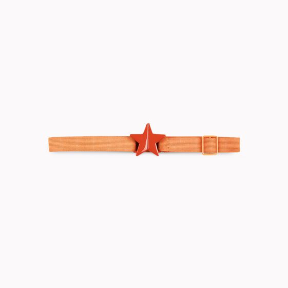 Stella McCartney, Starlight belt