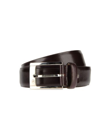ZOOM ALDO BRUÉ - Belt
