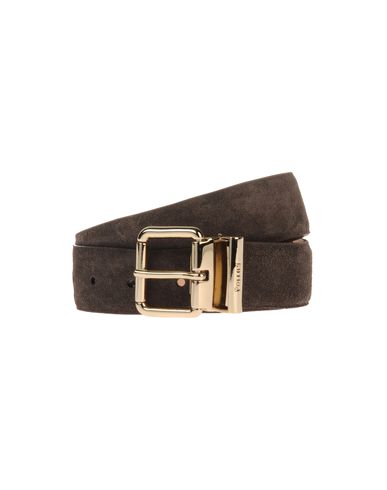 ZOOM POLLINI - Belt