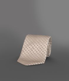 ARMANI COLLEZIONI - Tie