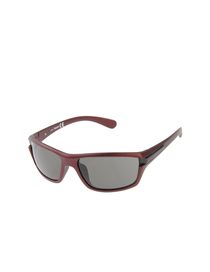 TIMBERLAND - Sunglasses