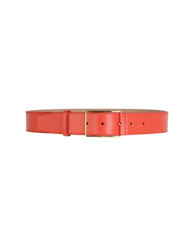 ZOOM ROCHAS - Belt