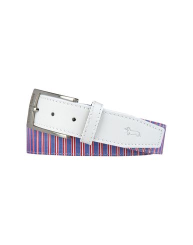 ZOOM HARMONT&BLAINE - Belt