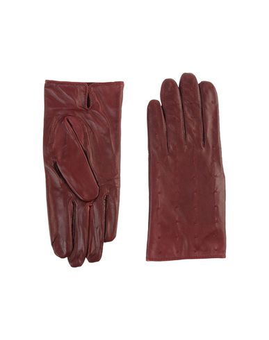 ZOOM SESSUN - Gloves
