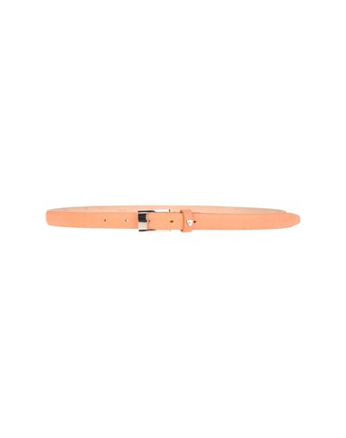 ZOOM HTC - Belt