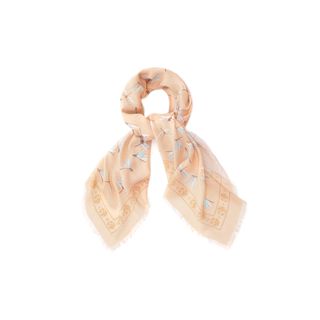 ALEXANDER MCQUEEN, Pashmina Fashion Scarf, Dragonfly Skull Scarf