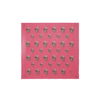 ALEXANDER MCQUEEN, Silk Fashion Scarf, Bird & Dragonfly Silk Scarf