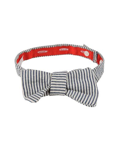 ZOOM MICHAEL BASTIAN - Bow Tie