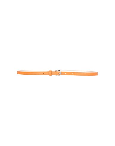 ZOOM ORCIANI - Belt