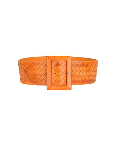 ZOOM ORCIANI - Belt