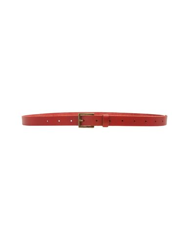 ZOOM ATTIC AND BARN - Belt