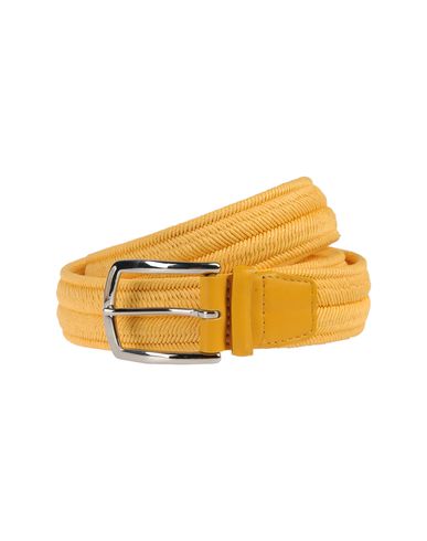 ZOOM ORCIANI - Belt