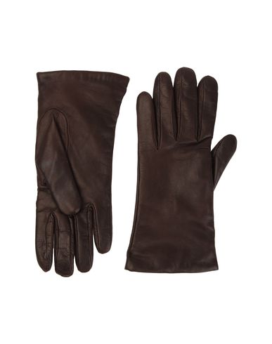ZOOM P.A.R.O.S.H. - Gloves