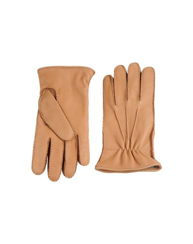 ZOOM MORRIS - Gloves