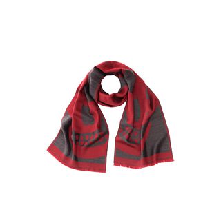 ALEXANDER MCQUEEN, Men's Scarf, Oversized Skull Wool Scarf