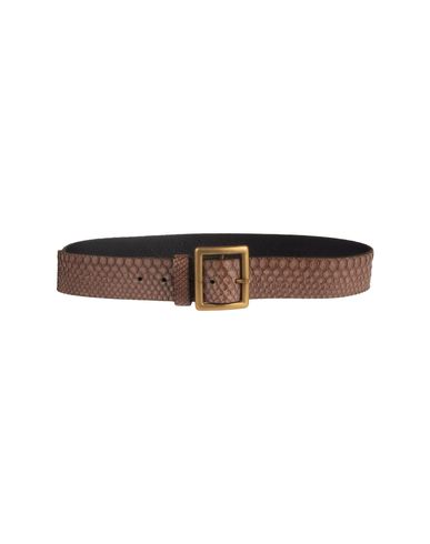 ZOOM HTC - Belt