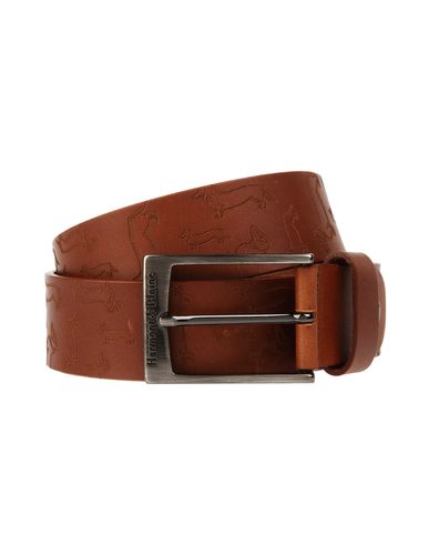 ZOOM HARMONT&BLAINE - Belt