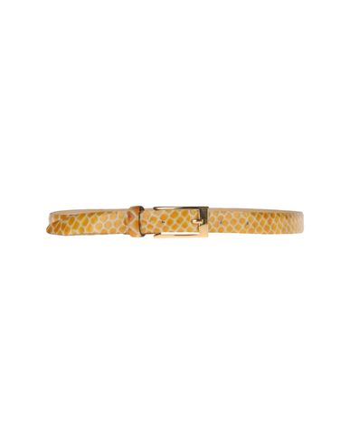 ZOOM AIROLDI - Belt