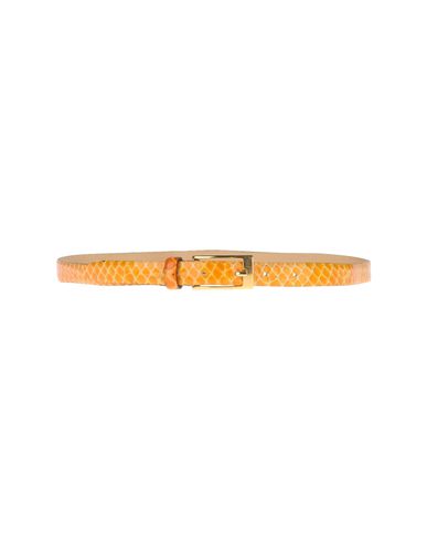 ZOOM AIROLDI - Belt