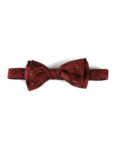 DSQUARED2 - Bow Tie