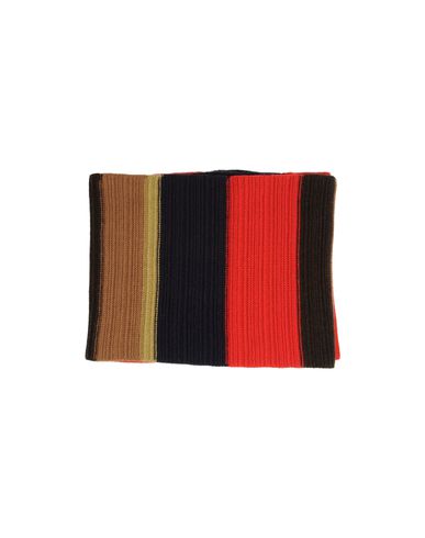 ZOOM BRAMANTE - Collar