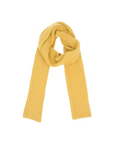 ZOOM KANGRA CASHMERE - Oblong scarf