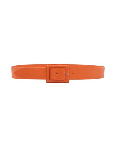 ZOOM ORCIANI - Belt