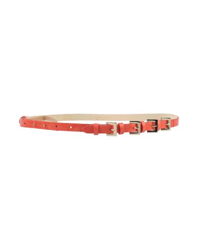 ZOOM OBLIQUE - Belt