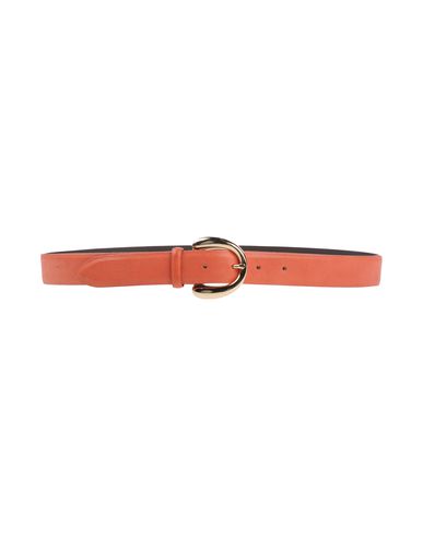 ZOOM ORCIANI - Belt