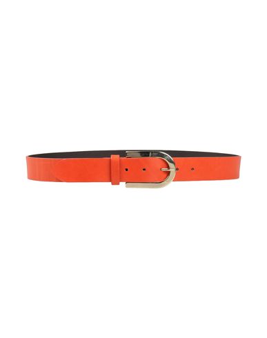 ZOOM ORCIANI - Belt