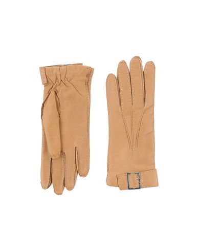 ZOOM ALPO - Gloves
