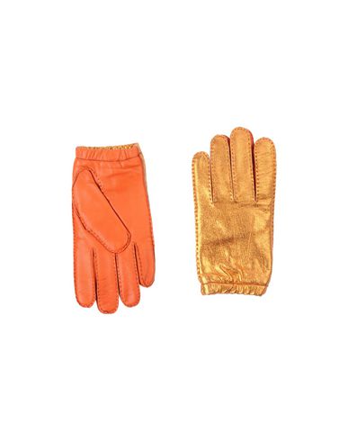 ZOOM HACHE - Gloves