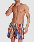 FISICO-Cristina Ferrari - Swimming trunks